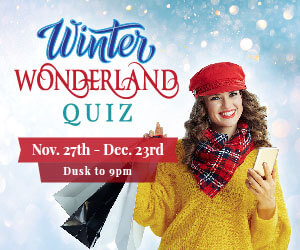 Winter Wonderland Quiz