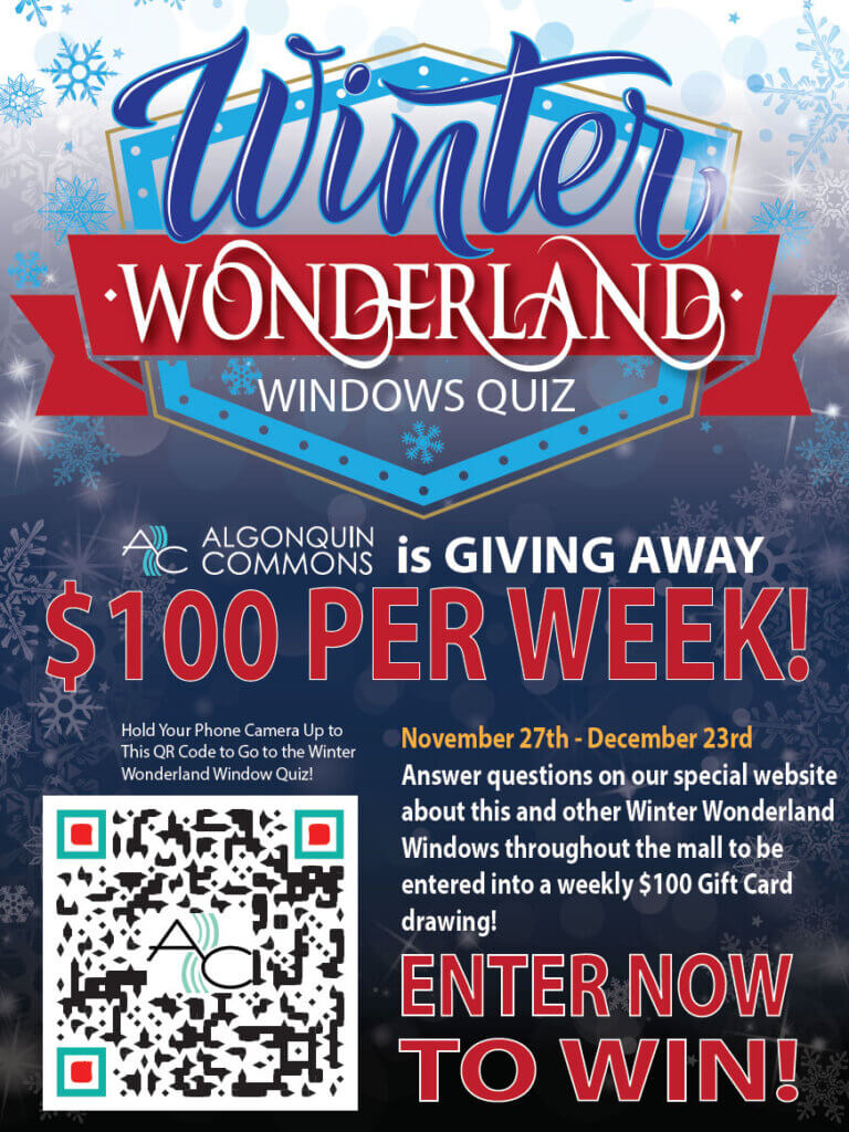 Winter Wonderland Windows Quiz